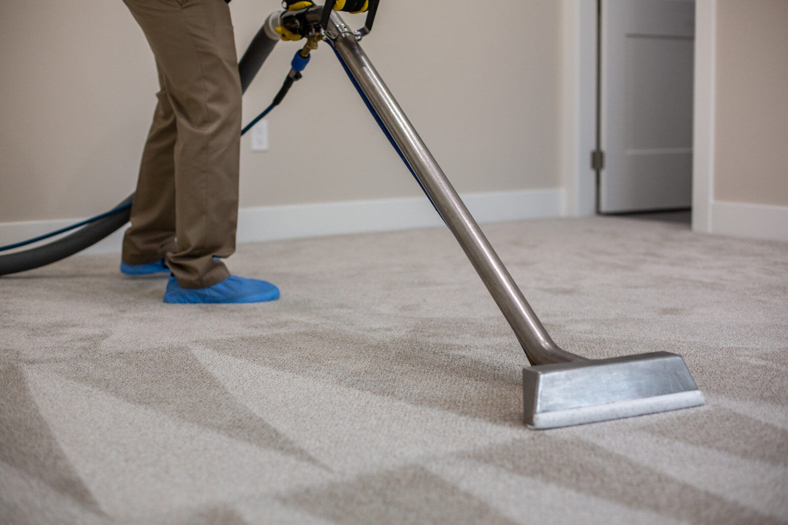 Dry Clean Carpet Cleaners Near Me at Patricia Blackstone blog