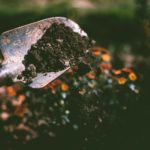 Importance of Soil for Your New Garden Foundation