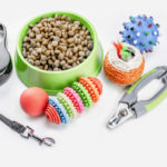 hunting dog supplies