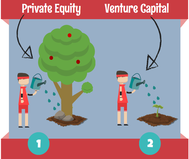 VC and PE Firms