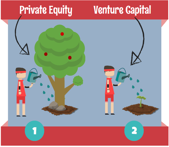VC and PE Firms