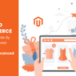 How Magento E-Commerce Is Made Simple By Getting Deepest Insights With Magento Advanced Reports?
