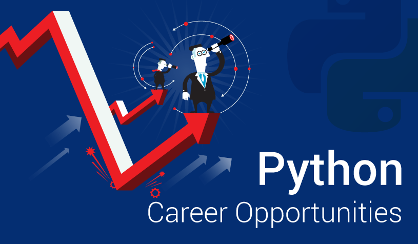 Look For Jobs In Python As A Career