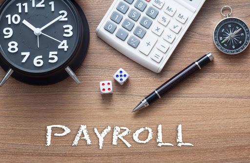 Online payroll software India
