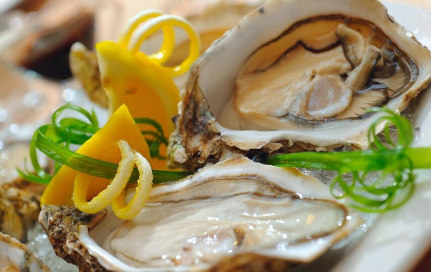 Seas Are Rising. Can Oysters Protect