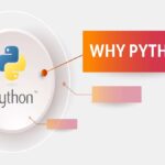 Grow Business Sales with Python