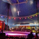 Niles Garden Circus