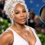 Serena Williams Stuns With White Curls at 2026 Gala